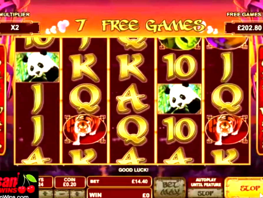 EURO 270 Daily freeroll slot tournament at Yako Casino