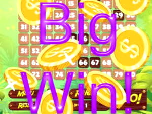 85 Free Spins Casino at Cashmio Casino