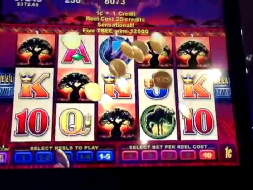 Eur 290 free chip at Casino com