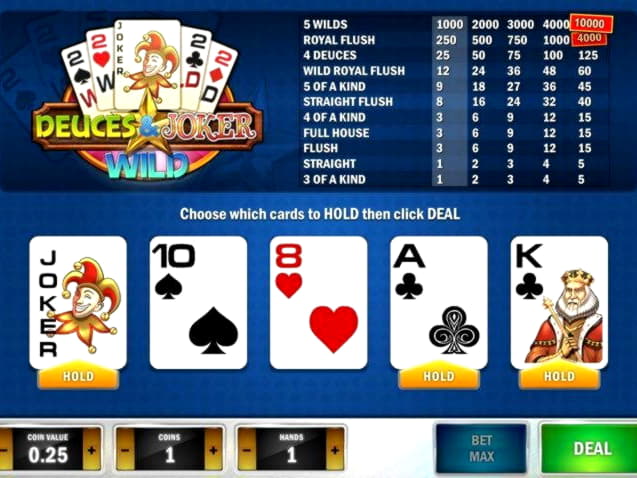 ?555 Casino Tournament at CasiPlay Casino