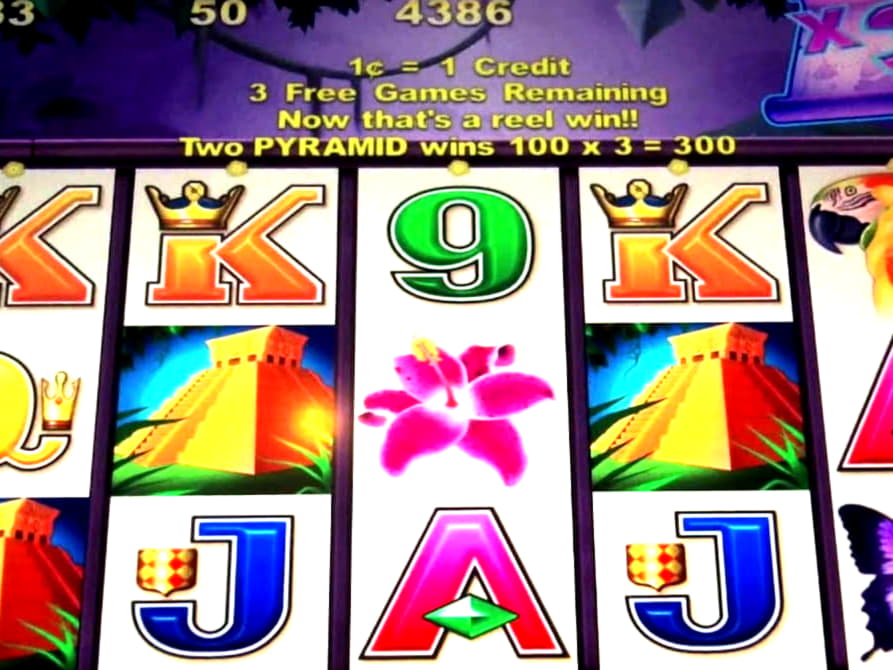 705% First Deposit Bonus at Casimba Casino