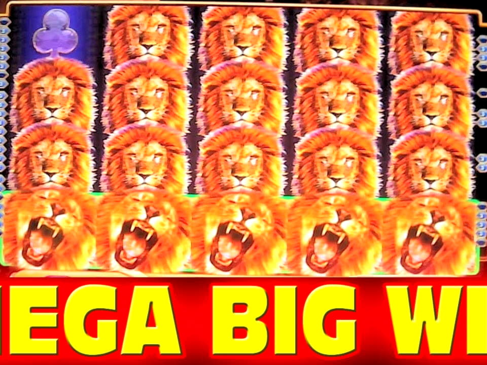 $305 Daily freeroll slot tournament at Wunderino Casino