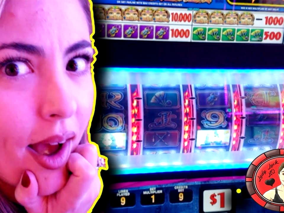 ?$290 Daily freeroll slot tournament at Rizk Casino