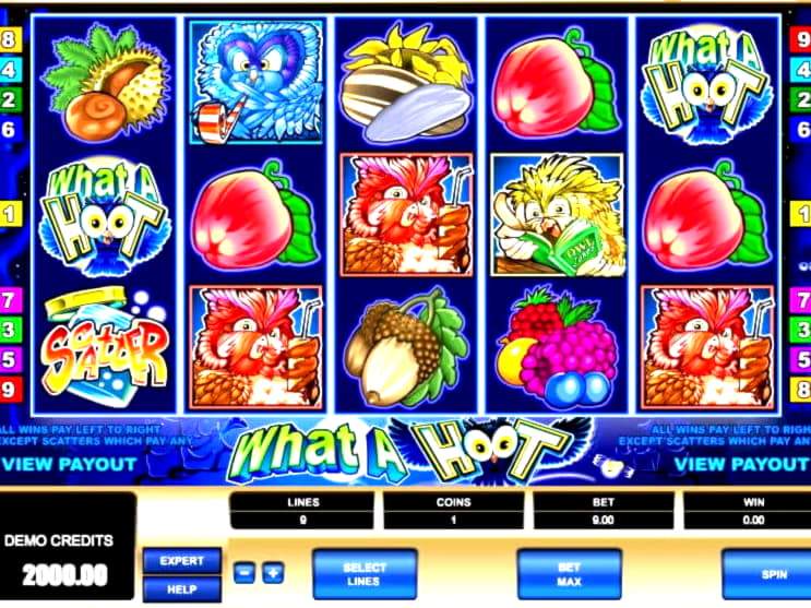 $955 No Deposit Bonus Code at bWin Casino