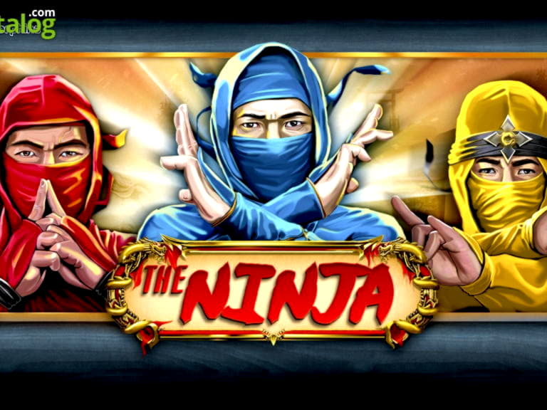 495% Deposit match bonus at Winorama Casino