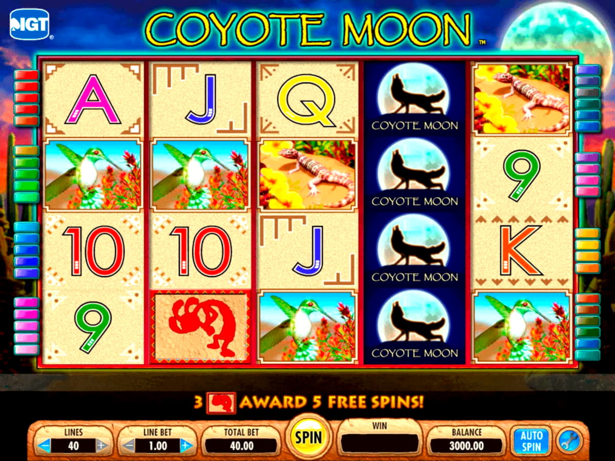 Eur 245 casino chip at Omni Casino