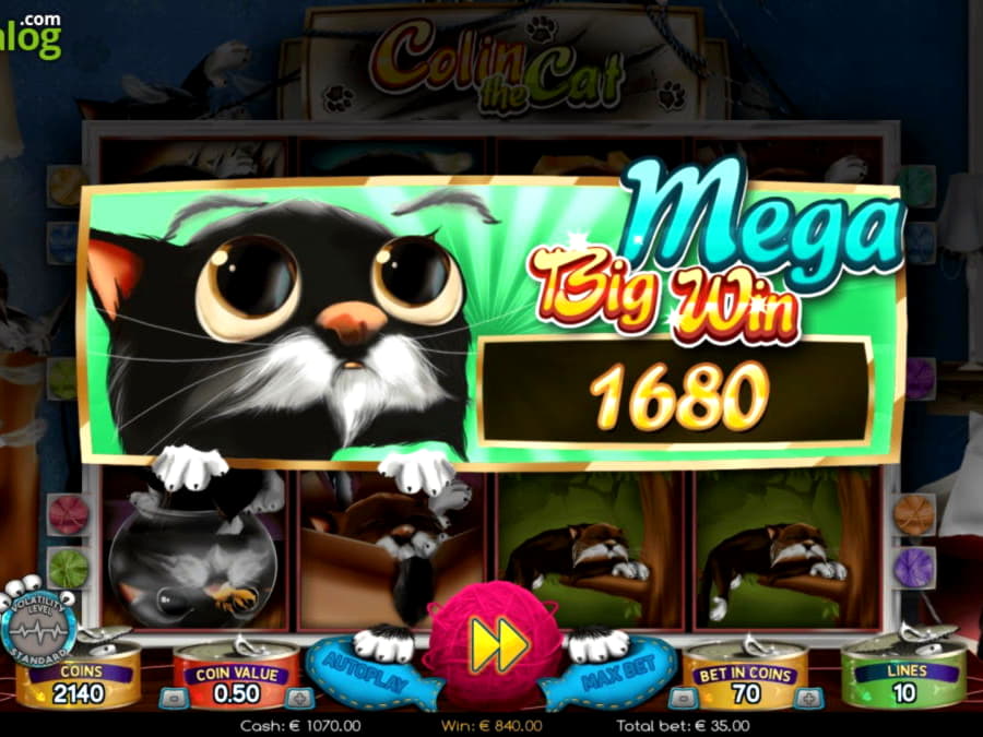 185% Casino Welcome Bonus at Fruity Casa Casino