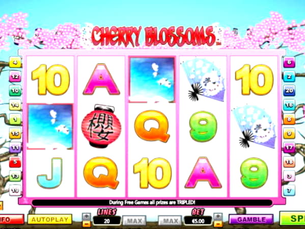50 Free Spins Casino at Cashmio Casino