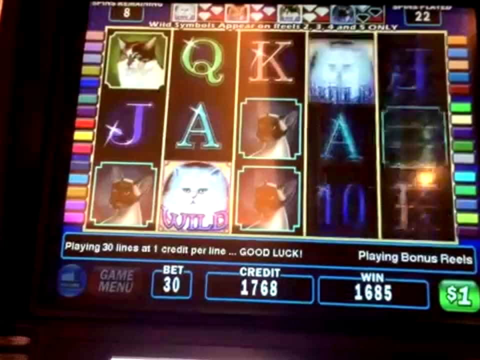 195% Signup casino bonus at Quatro Casino