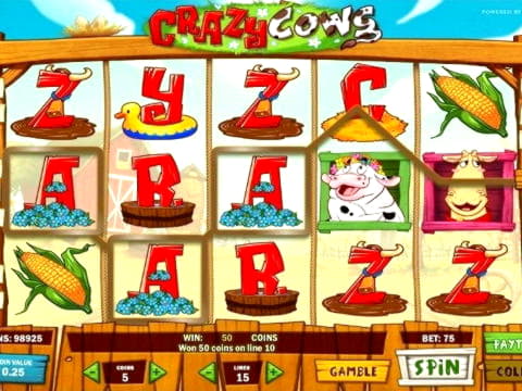 ?665 Free Casino Tournament at Rizk Casino