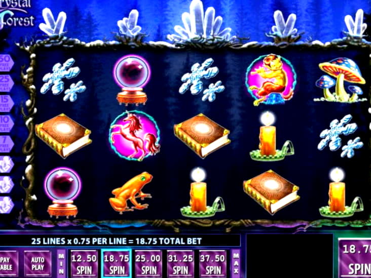 ?305 Tournament at bWin Casino