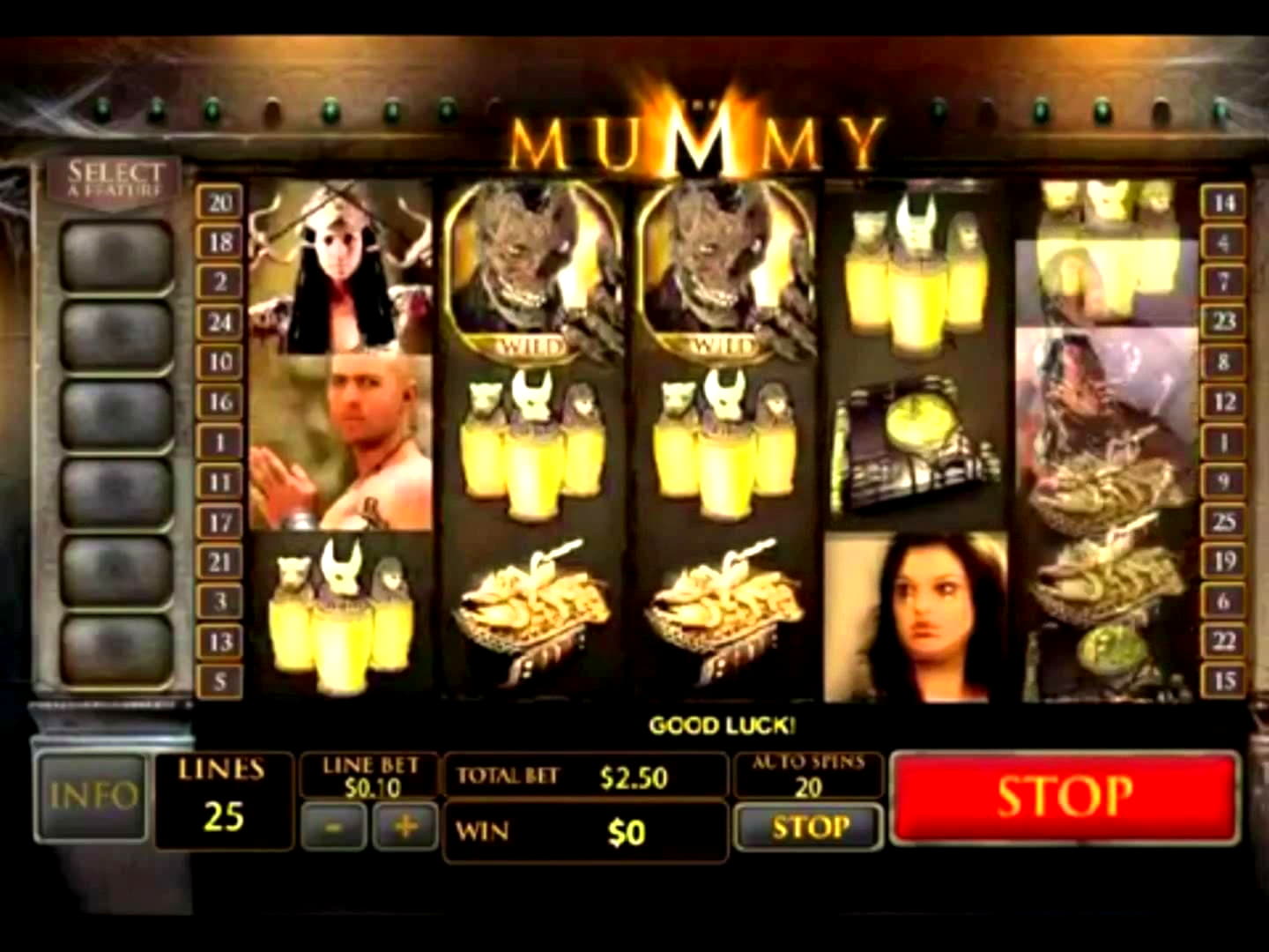 230 Loyal Free Spins! at Reeltastic Casino