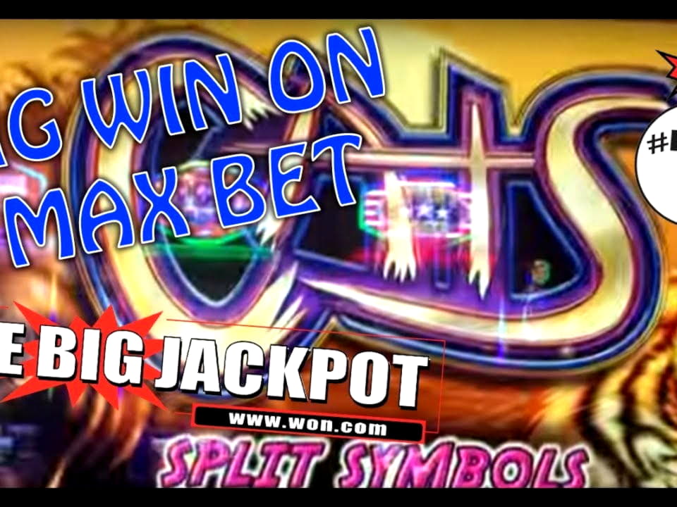 ?355 FREE CHIP CASINO at Rizk Casino