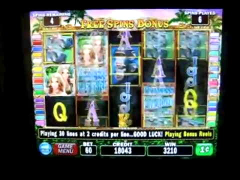 390% Match bonus casino at bWin Casino