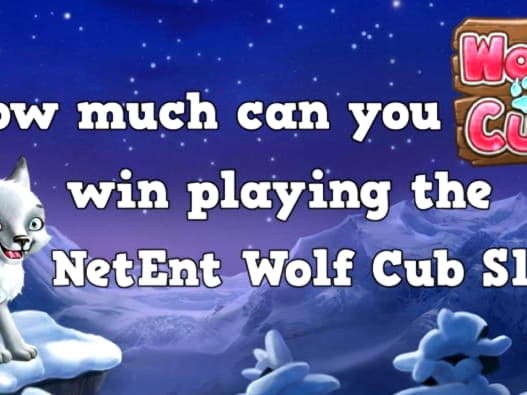 $330 Daily freeroll slot tournament at Slots Heaven Casino