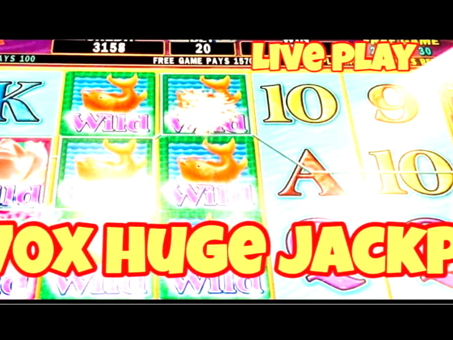 66 Free Spins right now at Mobile Bet Casino