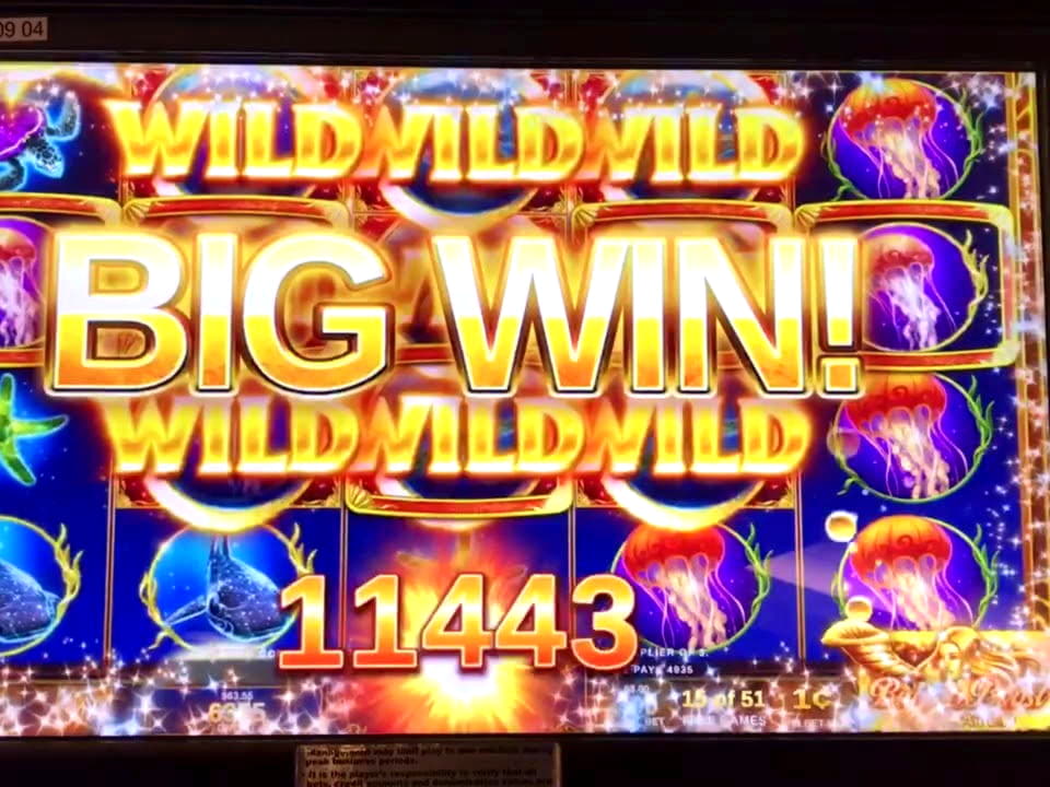 780% First deposit bonus at Mobile Bet Casino