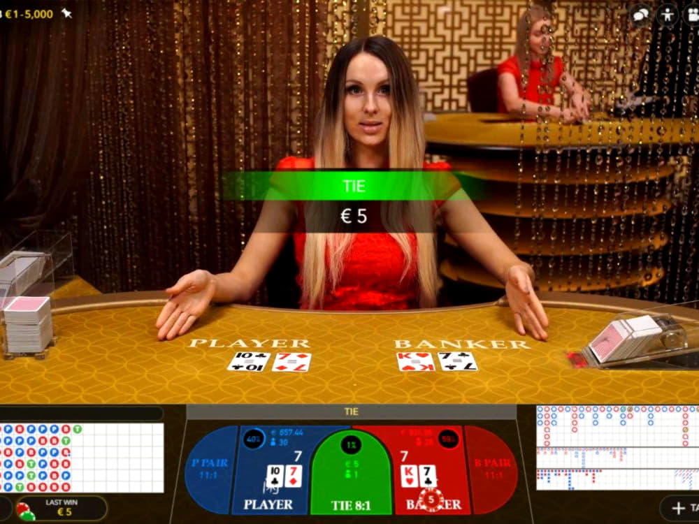 EURO 375 FREE CASINO CHIP at Wunderino Casino