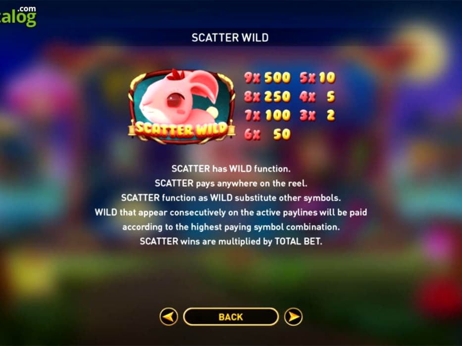 EUR 60 Casino Tournament at Trada Casino