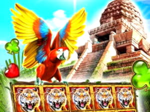 585% Match Bonus Casino at Winorama Casino