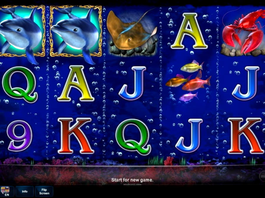 50% Signup Casino Bonus at Mobile Bet Casino