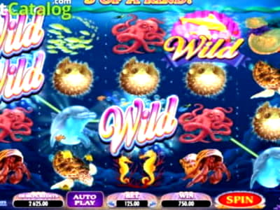 
</p>
<div class='heateorSssClear'></div><div  class='heateor_sss_sharing_container heateor_sss_horizontal_sharing' data-heateor-sss-href='https://newzealandcasinobonuses.com/coupon/520-mobile-freeroll-slot-tournament-at-b-66177/'><div class='heateor_sss_sharing_title' style=