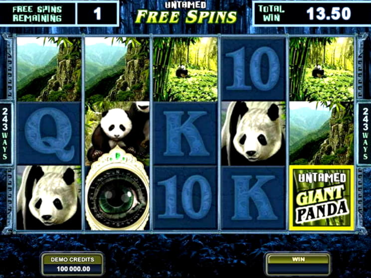EUR 630 free chip casino at Wunderino Casino