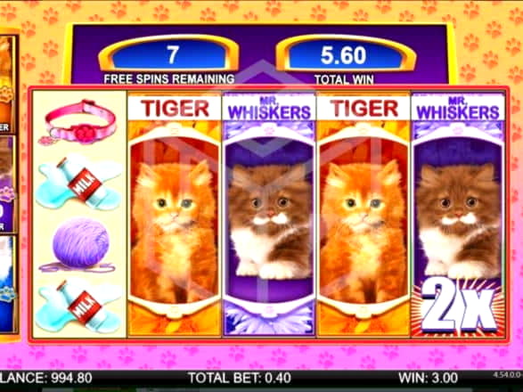 895% Match bonus casino at Fruity Casa Casino