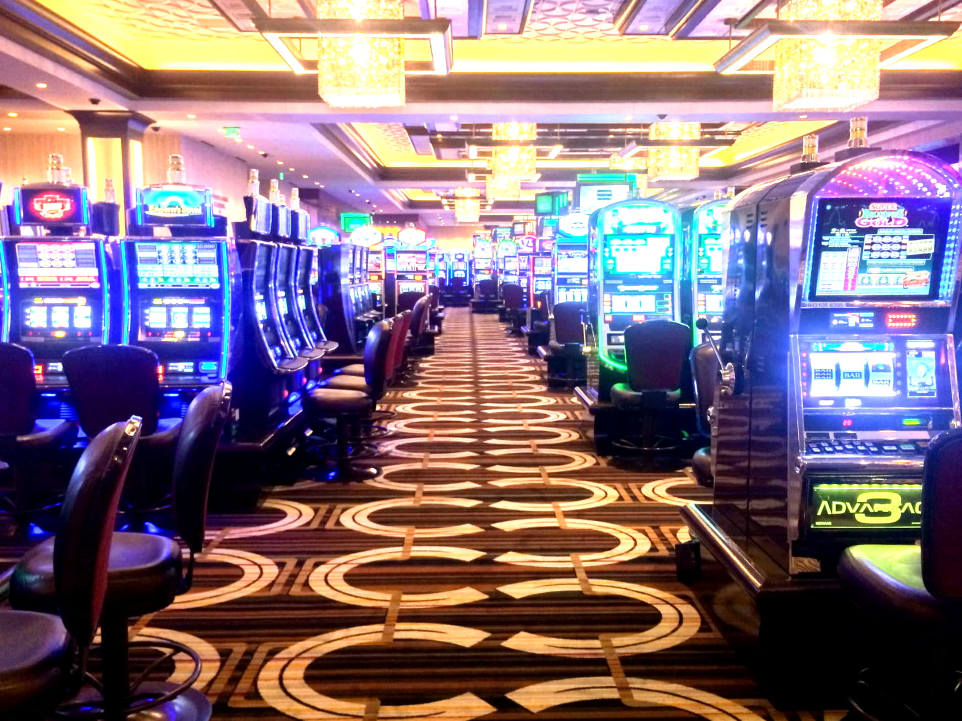 650% Match at a casino at Mrgreen Casino