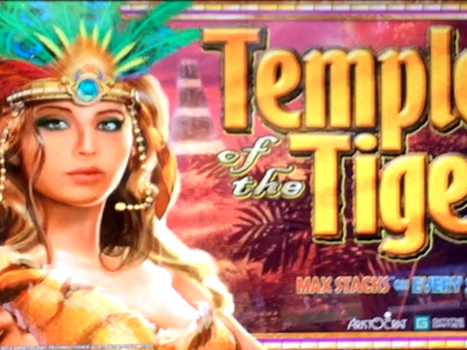 Eur 255 free chip at Reeltastic Casino