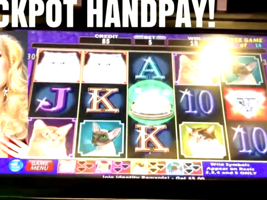 ?$1765 no deposit bonus code at Party Casino