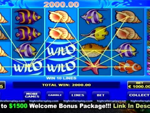 
</p>
<div class='heateorSssClear'></div><div  class='heateor_sss_sharing_container heateor_sss_horizontal_sharing' data-heateor-sss-href='https://newzealandcasinobonuses.com/coupon/150-free-chip-casino-at-slots-heaven-cas-67172/'><div class='heateor_sss_sharing_title' style=