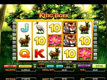 EUR 1355 No deposit bonus at Fruity Casa Casino