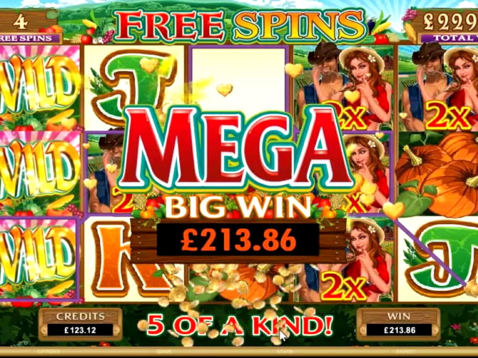 ?1755 No deposit at Jackpot City Casino