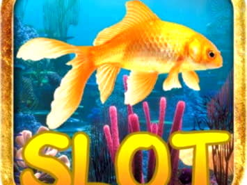 $320 Online Casino Tournament at Winorama Casino