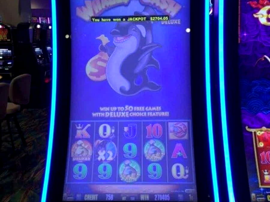 ?$1105 NO DEPOSIT BONUS at Jelly Bean Casino