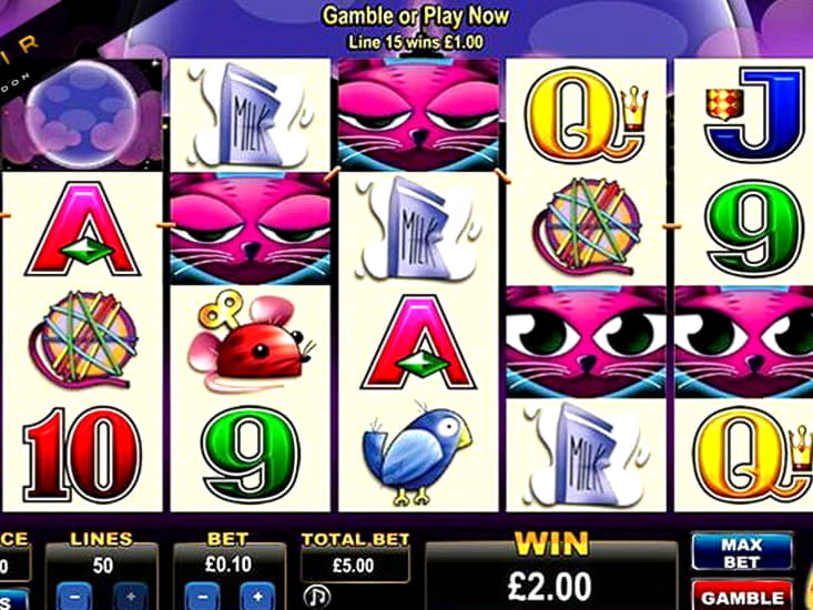 ?555 free casino chip at Mobile Bet Casino