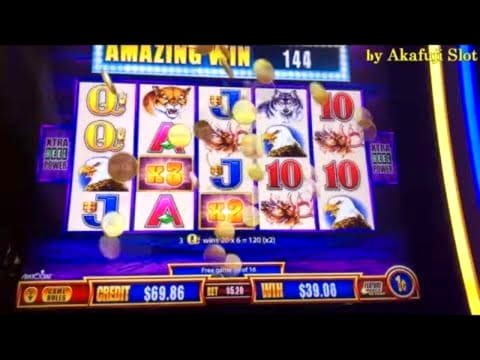 $4955 No Deposit Casino Bonus at Winorama Casino