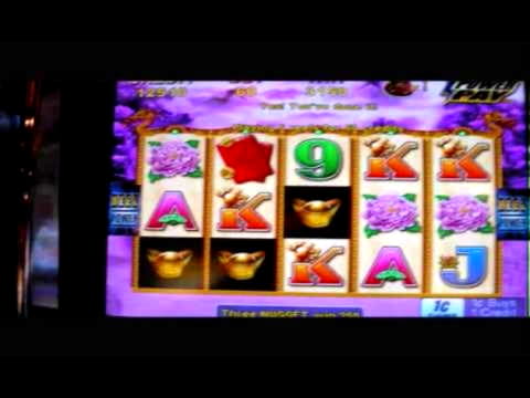 ?$444 Free Casino Chip at Dunder Casino