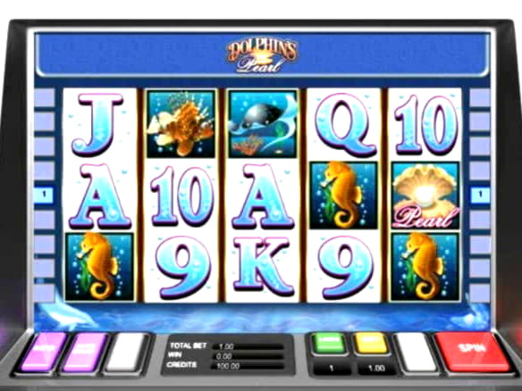 
</p>
<div class='heateorSssClear'></div><div  class='heateor_sss_sharing_container heateor_sss_horizontal_sharing' data-heateor-sss-href='https://newzealandcasinobonuses.com/coupon/155-casino-tournaments-freeroll-at-quatr-68628/'><div class='heateor_sss_sharing_title' style=