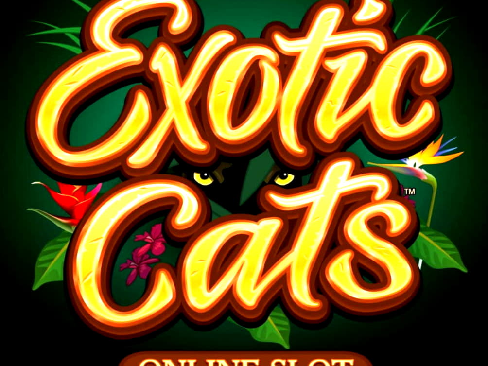 25 FREE SPINS at bWin Casino