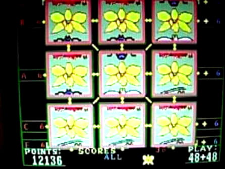 EURO 1580 no deposit at Dream Dubai Casino