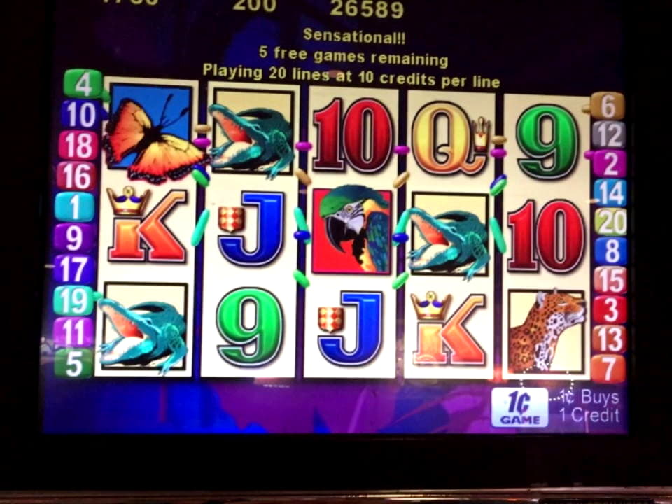 ?$685 Casino chip at Slots Heaven Casino