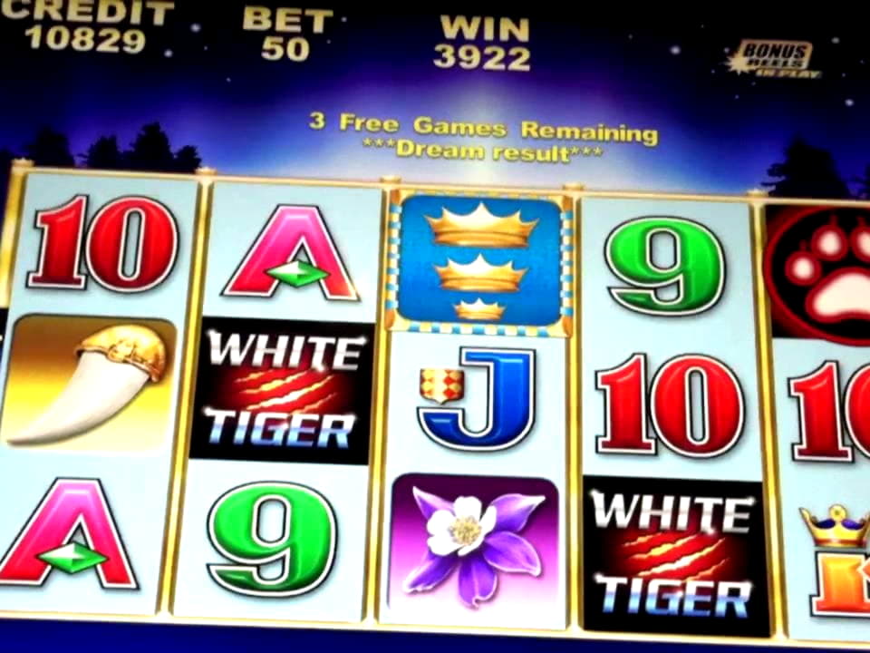 585% Best Signup Bonus Casino at Trada Casino