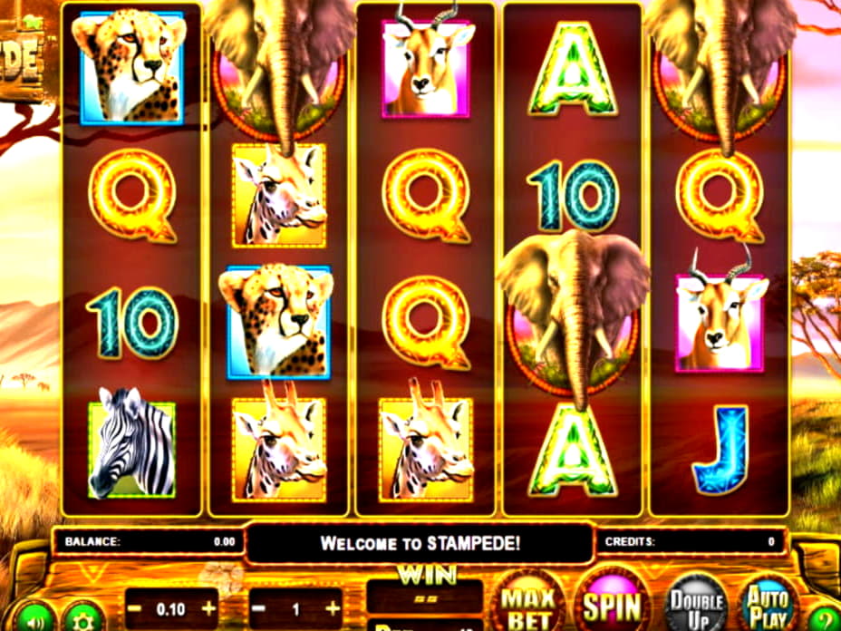 290 Free Spins no deposit casino at Rizk Casino