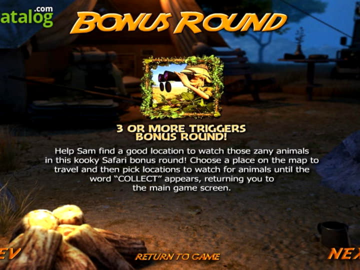 915% Match at a Casino at Malina Casino