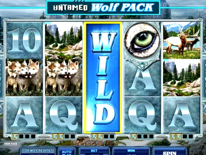 825% Match bonus at Winorama Casino