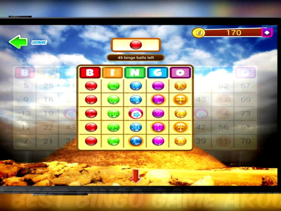 375% No Rules Bonus! at Omni Casino