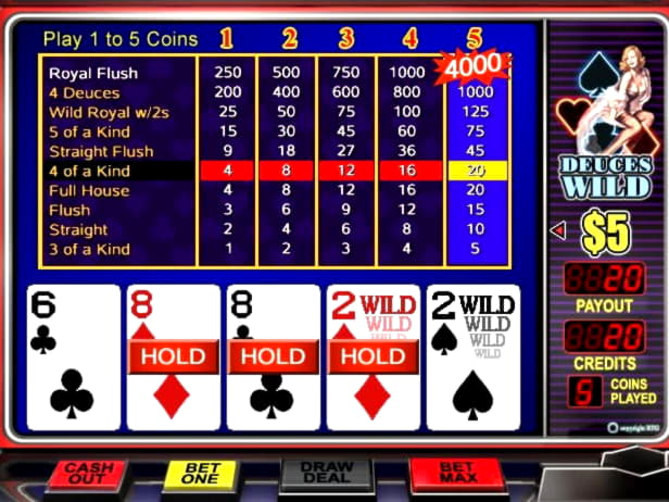185 Free Spins right now at Gate777 Casino