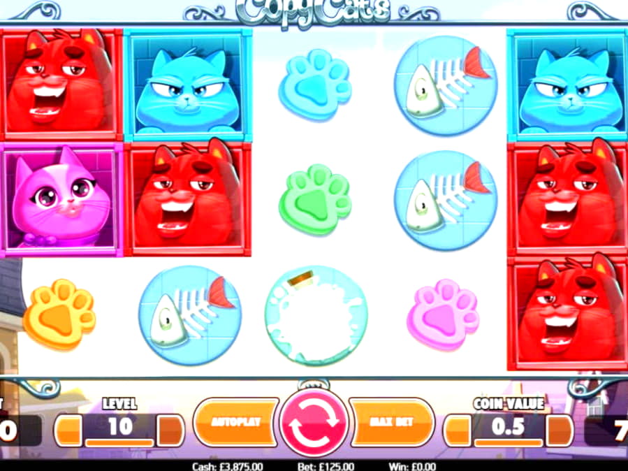 300 Trial Spins at Cashmio Casino